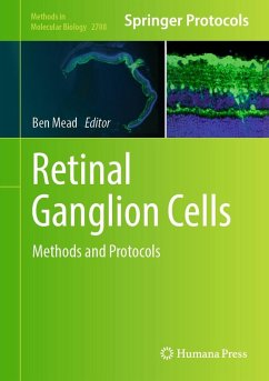 Cover Retinal Ganglion Cells (eBook, PDF)