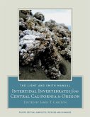 The Light and Smith Manual (eBook, ePUB) The Light and Smith Manual (eBook, ePUB)