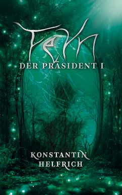 Feyn (eBook, ePUB) - Helfrich, Konstantin