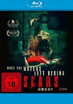 What the Waters Left Behind 2 - Scars