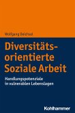 Diversitätsorientierte Soziale Arbeit (eBook, ePUB)
