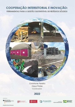 COOPERAÇÃO INTERSETORIAL E INOVAÇÃO (eBook, PDF)