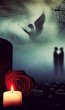 Echoes of Eternity (eBook, ePUB) - Bild 1