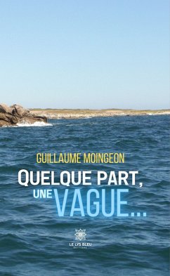 Quelque part, une vague… (eBook, ePUB) - Moingeon, Guillaume