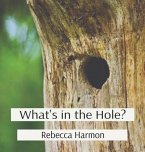 What's in the Hole? (eBook, ePUB)