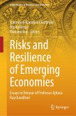 Risks and Resilience of Emerging Economies (eBook, PDF)