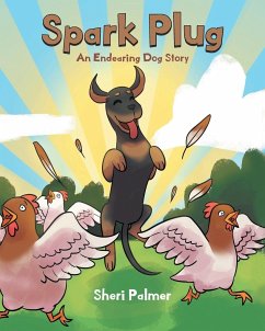 Spark Plug - Palmer, Sheri