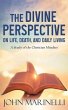 The Divine Perspective (eBook, ePUB) - Bild 1