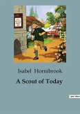 A Scout of Today