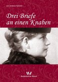 Drei Briefe an einen Knaben (eBook, PDF)