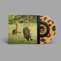 No More Lies (Ltd One-Sided Coloured 7inch) - Thundercat & Tame Impala