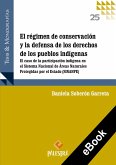 El régimen de conservación y la defensa de los derechos de los pueblos (eBook, ePUB)