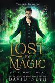 Lost By Magic (eBook, ePUB)