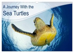 A Journey With the Sea Turtles (Wall Calendar 2024 DIN A3 landscape), CALVENDO 12 Month Wall Calendar