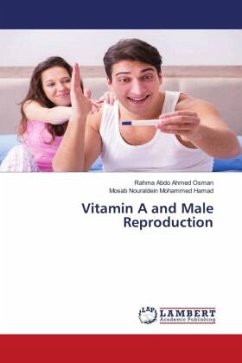 Vitamin A and Male Reproduction