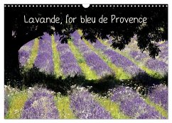 Lavande, l'or bleu de Provence (Calendrier mural 2024 DIN A3 vertical), CALVENDO calendrier mensuel