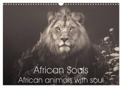 African Souls African animals with soul (Wall Calendar 2024 DIN A3 landscape), CALVENDO 12 Month Wall Calendar - Kulpa, Manuela