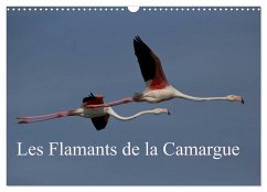 Les Flamants de la Camargue (Calendrier mural 2024 DIN A3 vertical), CALVENDO calendrier mensuel