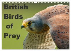 British Birds of Prey (Wall Calendar 2024 DIN A3 landscape), CALVENDO 12 Month Wall Calendar