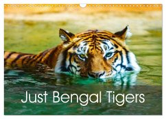 Just Bengal Tigers (Wall Calendar 2024 DIN A3 landscape), CALVENDO 12 Month Wall Calendar