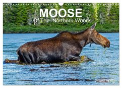MOOSE Of The Northern Woods (Wall Calendar 2024 DIN A3 landscape), CALVENDO 12 Month Wall Calendar