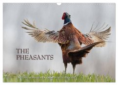 Emotional Moments: The pheasants. UK-Version (Wall Calendar 2024 DIN A3 landscape), CALVENDO 12 Month Wall Calendar