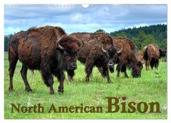 North American Bison (Wall Calendar 2024 DIN A3 landscape), CALVENDO 12 Month Wall Calendar