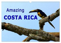 Amazing Costa Rica (Wall Calendar 2024 DIN A3 landscape), CALVENDO 12 Month Wall Calendar
