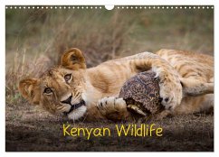 Kenyan Wildlife (Wall Calendar 2024 DIN A3 landscape), CALVENDO 12 Month Wall Calendar