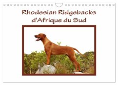 Rhodesian Ridgebacks d'Afrique du Sud (Calendrier mural 2024 DIN A4 vertical), CALVENDO calendrier mensuel