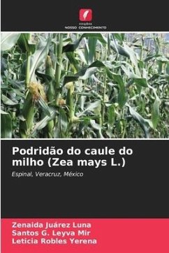 Podridão do caule do milho (Zea mays L.) - Juárez Luna, Zenaida;Leyva Mir, Santos G.;Robles Yerena, Leticia