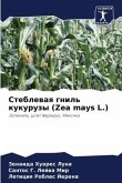 Steblewaq gnil' kukuruzy (Zea mays L.)