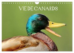 Vie de canards (Calendrier mural 2024 DIN A4 vertical), CALVENDO calendrier mensuel