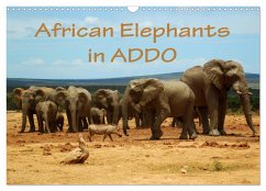 African Elephants in ADDO (Wall Calendar 2024 DIN A3 landscape), CALVENDO 12 Month Wall Calendar - Wyk, Anke van