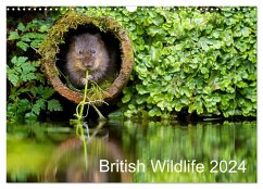 British Wildlife 2024 (Wall Calendar 2024 DIN A3 landscape), CALVENDO 12 Month Wall Calendar - Bridger, Mark