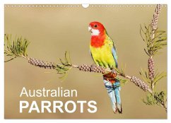 Australian Parrots (Wall Calendar 2024 DIN A3 landscape), CALVENDO 12 Month Wall Calendar - Birdimagency, Bia