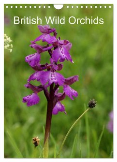 British Wild Orchids (Wall Calendar 2024 DIN A4 portrait), CALVENDO 12 Month Wall Calendar