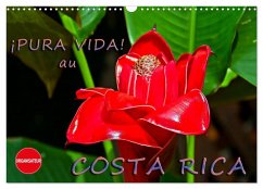 ¡Pura Vida! au Costa Rica (Calendrier mural 2024 DIN A3 vertical), CALVENDO calendrier mensuel
