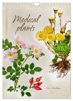 Medical plants (Wall Calendar 2024 DIN A4 portrait), CALVENDO 12 Month Wall Calendar - Schmidbauer, Heinz