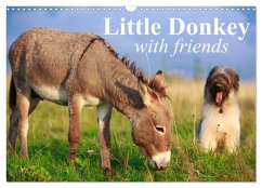Little Donkey with Friends (Wall Calendar 2024 DIN A3 landscape), CALVENDO 12 Month Wall Calendar