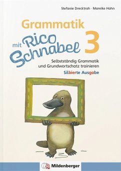 Grammatik mit Rico Schnabel, Klasse 3 - silbierte Ausgabe - Drecktrah, Stefanie;Hahn, Mareike