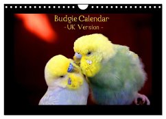Budgie Calendar - UK Version (Wall Calendar 2024 DIN A4 landscape), CALVENDO 12 Month Wall Calendar