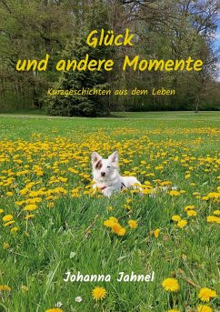 Glück und andere Momente - Jahnel, Johanna