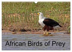 African Birds of Prey (Wall Calendar 2024 DIN A3 landscape), CALVENDO 12 Month Wall Calendar