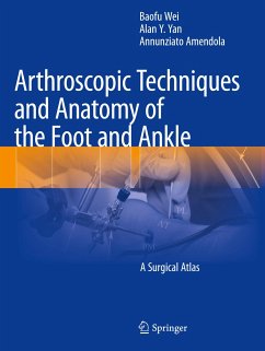 Arthroscopic Techniques and Anatomy of the Foot and Ankle - Wei, Baofu;Yan, Alan Y.;Amendola, Annunziato