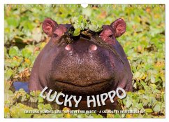 Emotional Moments: Lucky Hippo / UK-Version (Wall Calendar 2024 DIN A3 landscape), CALVENDO 12 Month Wall Calendar