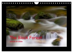 The Black Forest - UK Version (Wall Calendar 2024 DIN A4 landscape), CALVENDO 12 Month Wall Calendar