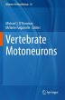 Vertebrate Motoneurons - Bild 1