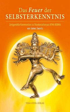 Cover Das Feuer der Selbsterkenntnis (eBook, ePUB)