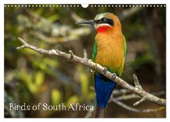 Birds of South Africa (Wall Calendar 2024 DIN A3 landscape), CALVENDO 12 Month Wall Calendar - le Roux & Toon Sanders, Sybrand